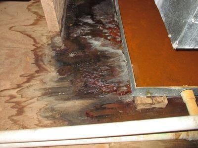 About water damage restoration service - basement flood restoration services experts in Boston