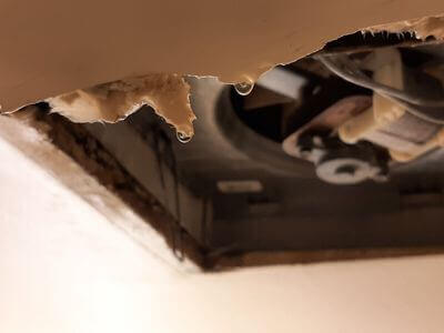 Professional basement flood restoration services services in Boston - water damage restoration service